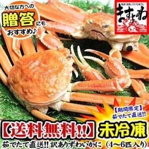 【送料無料】茹でたて直送！未冷凍ズワイ蟹姿3kg仕立て（活状態で3kg/ボイル後は1〜2割減）※足が1本不足している訳あり規格（尾数＆着日指定不可）