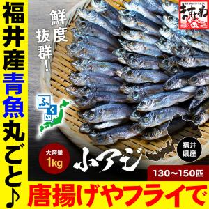 ※在庫切れ※ 数量限定 あじ アジ 鯵 福井県産 小アジ 豆アジ 1kg 500g×2袋 約130尾〜150尾 青魚 唐揚げ アジフライ 鮮魚 魚介 海産物｜masuyone