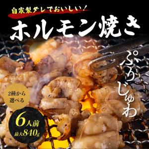 50%OFFクーポン有 父の日 ギフト 肉 ホルモン 焼き肉 焼肉 ホルモン焼き 約840g 6人前 選べるタレ2種 たれ漬 もつ焼き ショウチョウ 大腸 小腸 シマチョウ BBQ｜masuyone