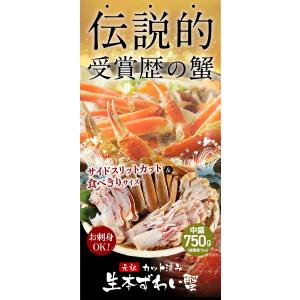 爆買 見切品 在庫処分セール4980円 賞味期...の詳細画像5