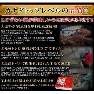 ※完売御礼※ カニ かに ズワイガニ 蟹 ずわ...の詳細画像2
