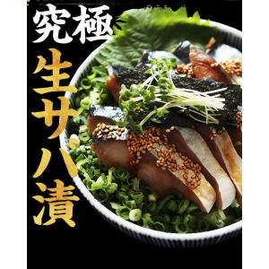 40%OFFクーポン有 ごま鯖 国産 骨取り済...の詳細画像5