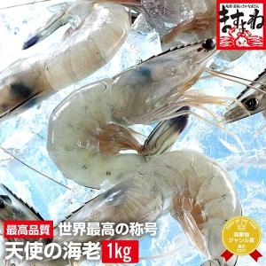 ※今季 完売御礼※ 天使の海老1kg 生21〜30匹入 最も美しくかつてないほど美味しい唯一のエビ