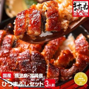 ※完売御礼※ プレミアム会員なら1000円OFF 国産 うなぎ