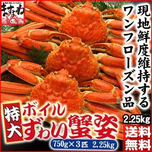 ※在庫切れ※ かに カニ ズワイ 早割30％OFFクーポンで9660円 非再凍結ワンフロ ーズン鮮度 特大 本ずわい蟹 姿 約750gx3匹 2.25kg前後 冷凍便 送料無料｜masuyone