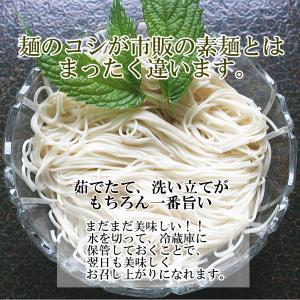 「となみ野農業協同組合」大門素麺(350g) ...の詳細画像2