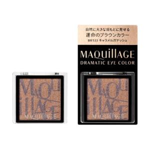 送料無料 資生堂 限定カラー マキアージュ ドラ...の商品画像