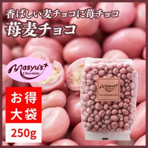 苺のフリーズドライ苺チョコ300g : マシューのチョコレート - 通販