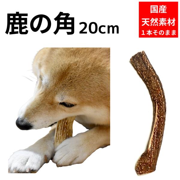 鹿の角 犬 おもちゃ 天然 Lサイズ 20cm １本 自然 無添加 おやつ 国産 鹿角 ガム デンタ...