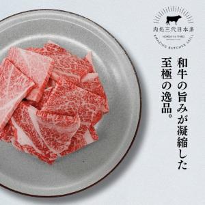 焼肉 バーベキュー 国産 和牛 牛肉 カルビ ...の詳細画像1