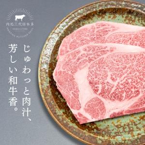 ステーキ 牛肉 和牛 ギフト 送料無料 A5A...の詳細画像1