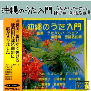 【D17936】沖縄のうた入門 D17936】沖縄のうた入門 D17936】沖縄のうた入門 沖縄のうた入門