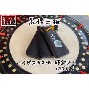 三線用アルミハードケース（2種） 1丁入れ・2丁入れ : 琉球