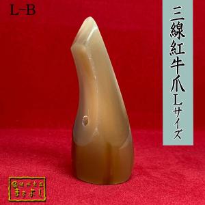 紅牛角三線爪 Lサイズ　（L-B）｜matayoshi34ten