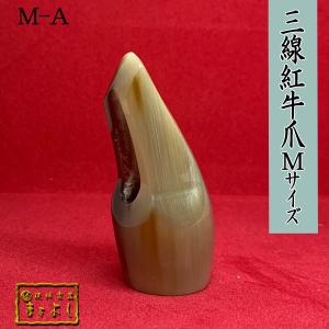 紅牛角三線爪 Ｍサイズ　（M-A）｜matayoshi34ten