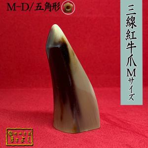 紅牛角三線爪 Ｍサイズ　（M-D）｜matayoshi34ten