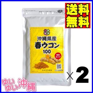 沖縄産 春ウコン 粉末 100ｇ×２個