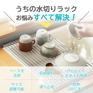 【超PayPay祭と秋の感謝祭】送料無料水切り...の詳細画像2