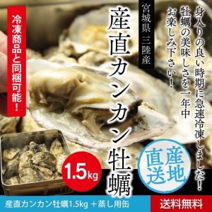 三陸産地直送 旬の時期に急速冷凍したカンカン牡蠣1,5kg　