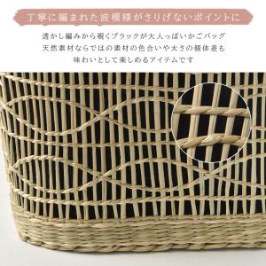 SALE 30%OFF CACHELLIE カ...の詳細画像4