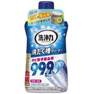 洗浄力 洗たく槽クリーナー（550g）/ エステー　掃除Y