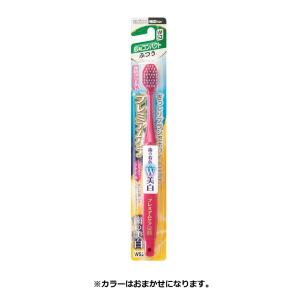 プレミアムケア ハブラシ 歯の美白 6列コンパクト ふつう（1個入）/ エビス｜matinozakka