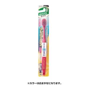 アパホテルオリジナル歯ブラシ10本セット（柄色：クリーム（白