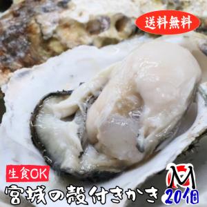 殻付き牡蠣 生食用 産地直送 宮城県産 Mサイズ20個 選別品 送料無料 旬 活 かき 生ガキ