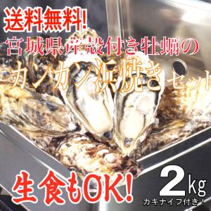 カンカン浜焼き牡蠣セット ２kg入 宮城県産 送料無料 旬 活牡蠣 牡蛎 生かき 生ガキ 生牡蠣