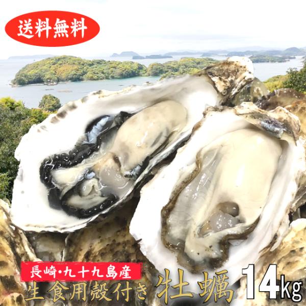 殻付き牡蠣 産地直送 長崎県九十九島産 14kg 生食用 送料無料 旬 活 かき 生ガキ