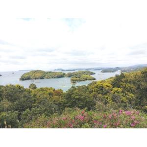 岩牡蠣 殻付き牡蠣 産地直送 長崎県 九十九島...の詳細画像2