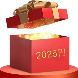 2025年 福袋 新春初売り ランダムラッキーバ...の商品画像