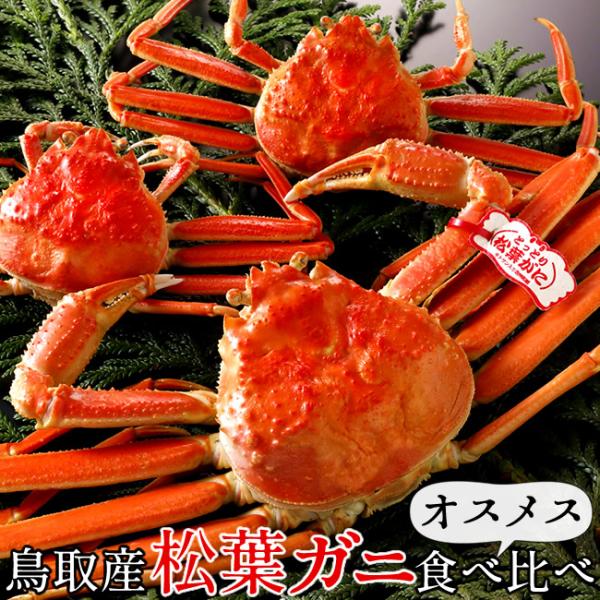 松葉ガニ オスメス食べ比べ［600g＆セコガニ2杯］タグ付き 浜ゆで 松葉蟹 ゆでがに 鳥取県産マツ...
