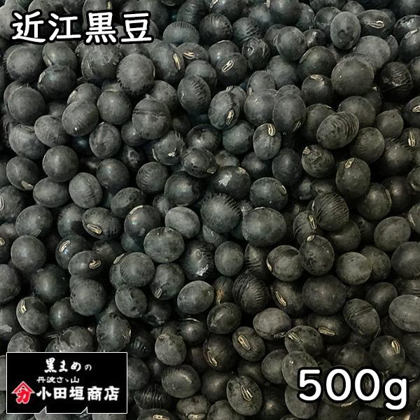 小田垣商店 近江黒豆 (500g) 令和6年産滋賀県産 【メール便対応】