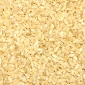 発芽玄米 (500g) 国産 【メール便対応】｜matsubayashoten