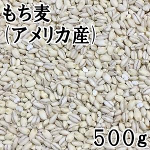 もち麦 (500g) アメリカ産 【メール便対応】｜matsubayashoten