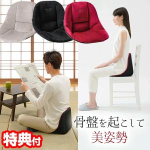 コシオスプレミアム 骨盤矯正クッション ボードクッション 座椅子 美