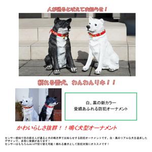 番犬 わんわんリキ ワンワンリキ SH2980...の詳細画像1