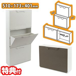 萩原(Hagihara) シューズラック 靴箱 下駄箱 2段 12足 収納 隠せる