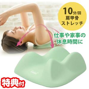 アテックス AX-HX264 肩甲骨ストレッチギア グレー : キムラヤテック