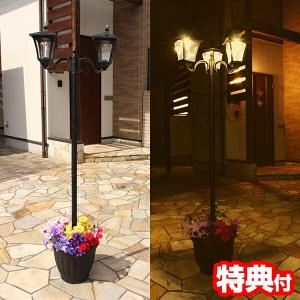 Begin掲載 植木鉢付き ソーラーライト 1灯 タイプ 屋外 照明 明るい