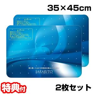 2枚セット サラリト除菌マット RS-L1245 玄関マット 35x45cm 除菌マット 出入口 トイレマット 除菌シート 靴除菌 足裏除菌 足マット さらりと除菌マット｜matsucame