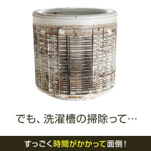 日本製 洗濯槽クリーナー スピードキング 洗た...の詳細画像2