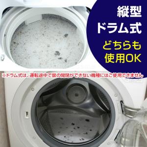 日本製 洗濯槽クリーナー スピードキング 洗た...の詳細画像5