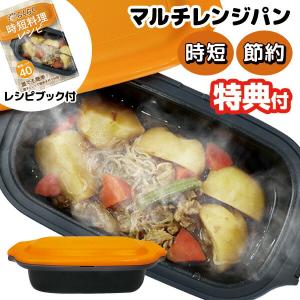 マルチレンジパン 電子レンジ専用調理器 レシピブック付き レンジで焼き魚 チンするだけ 簡単 マルチパン マルチ電子レンジパン[5月下旬入荷予定]｜matsucame