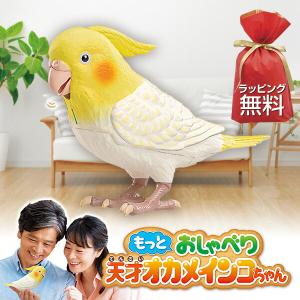 もっとおしゃべり 天才オカメインコちゃん おしゃ...の商品画像