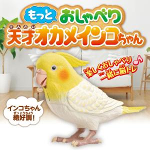 もっとおしゃべり 天才オカメインコちゃん おし...の詳細画像1