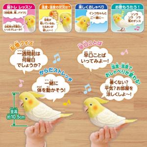 もっとおしゃべり 天才オカメインコちゃん おし...の詳細画像3