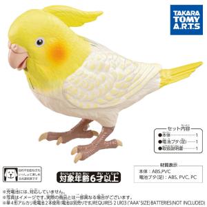 もっとおしゃべり 天才オカメインコちゃん おし...の詳細画像4