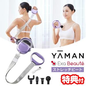 ヤーマン ダブルヒートEMS / EMS 美容機器 YAMAN 筋トレ お腹 引き締め